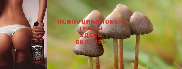 твердый Лиски