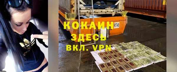 прущие грибы Майский