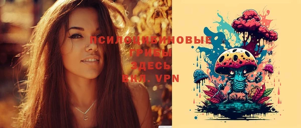 твердый Лиски