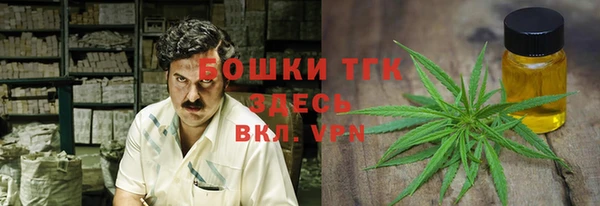 гидра Лихославль